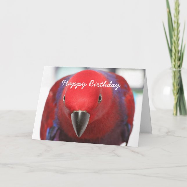 Perroquet d'Eclectus de carte d'anniversaire (Devant)