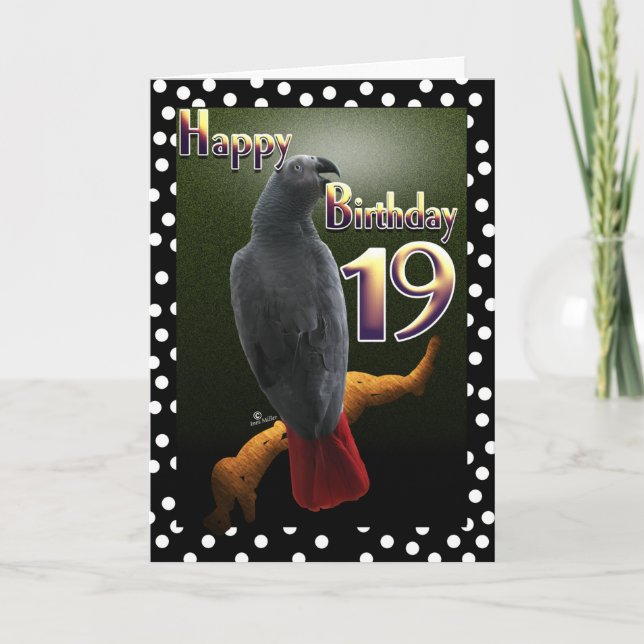 Perroquet gris africain carte d'anniversaire 19 an (Devant)