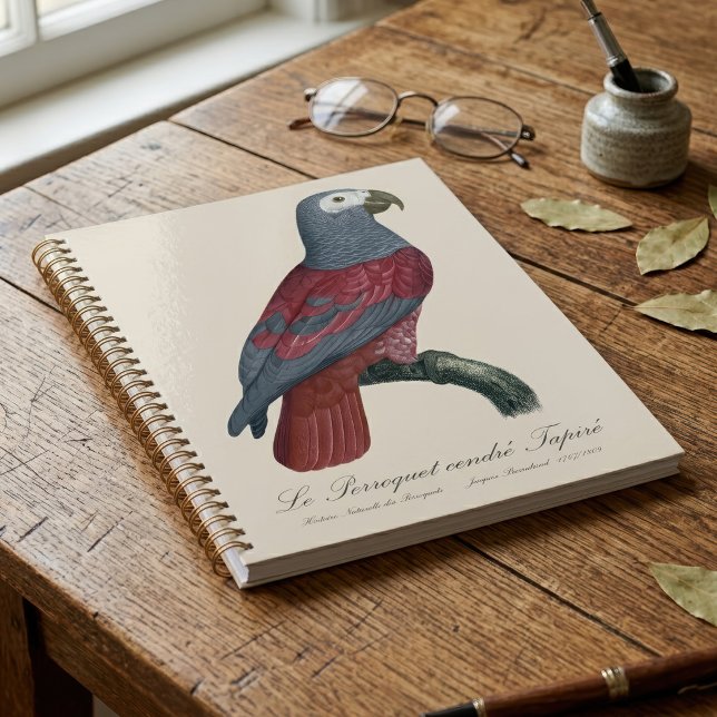 Perroquet Gris du Congo Facteur Rouge Psittacus Er (African Grey Parrot Red Factor Psittacus Erithacus. Planner)