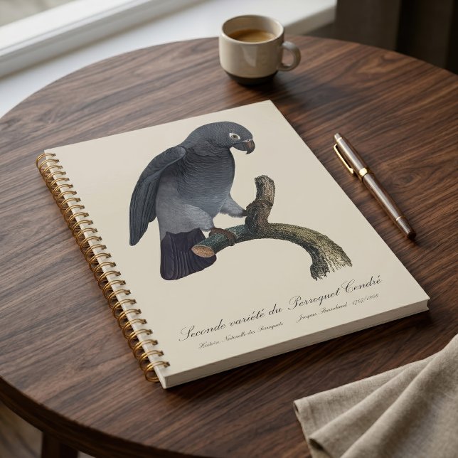 Perroquet Gris Timneh, Psittacus Timneh (Timneh African Grey Parrot, Psittacus Timneh. Planner)