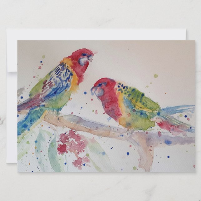 Perroquet Rosella Rouge Mignon Art Aquarelle (Devant)