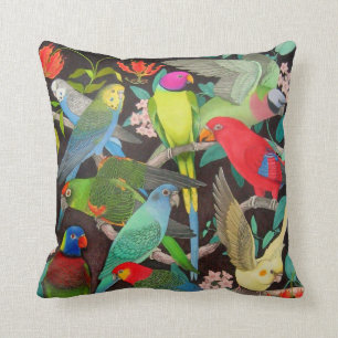 Perroquets d'animal familier du coussin du monde