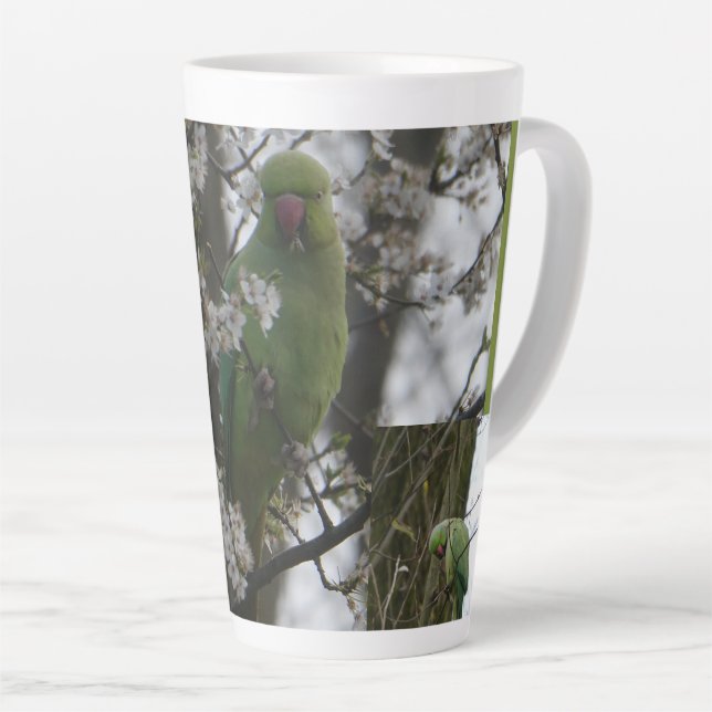 Perruche à anneau de rose dans la Mug latte de l'a (Angle droit)