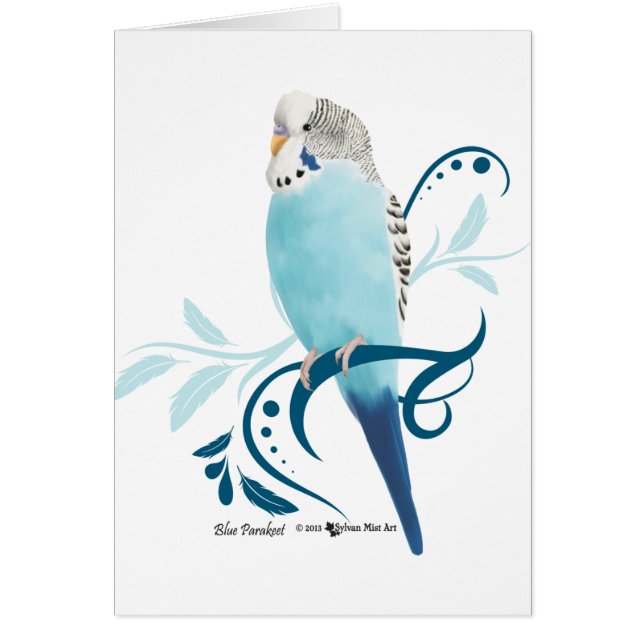 Perruche bleue (Devant)