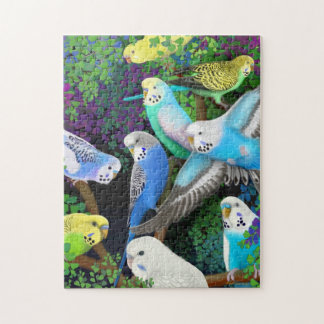 Perruches d'animal familier dans le puzzle de