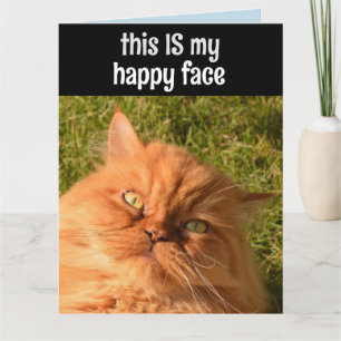 PERSIAN GINGER CHAT FUNNY HAPPY FACE CARTE D'ANNIV
