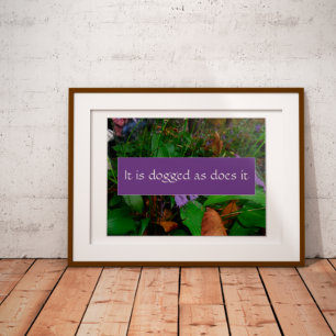 Persistance sagesse dire affiche photo