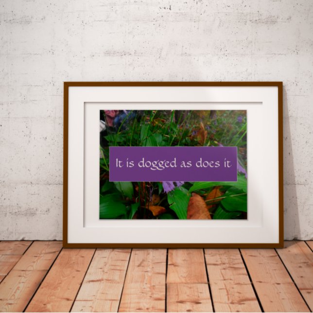 Persistance sagesse dire affiche photo (Créateur téléchargé)