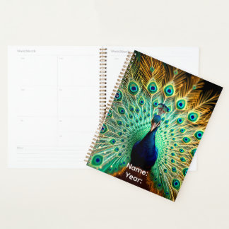 Personalized Peacock Frequencies Planner 