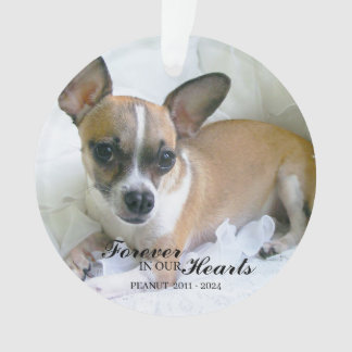 Personalized Pet Christmas Ornament