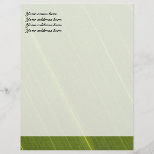 Personnalisable Conception de papier à en-tête à feuille de palmie