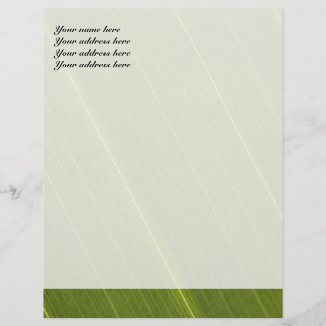 Personnalisable Conception de papier à en-tête à feuille de palmie (Devant)