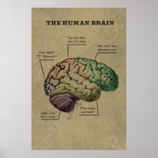 Personnalisable Poster du Cerveau Humain, modifier