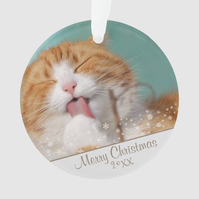Personnalisé Chat Animaux de compagnie Photo Noël (devant)