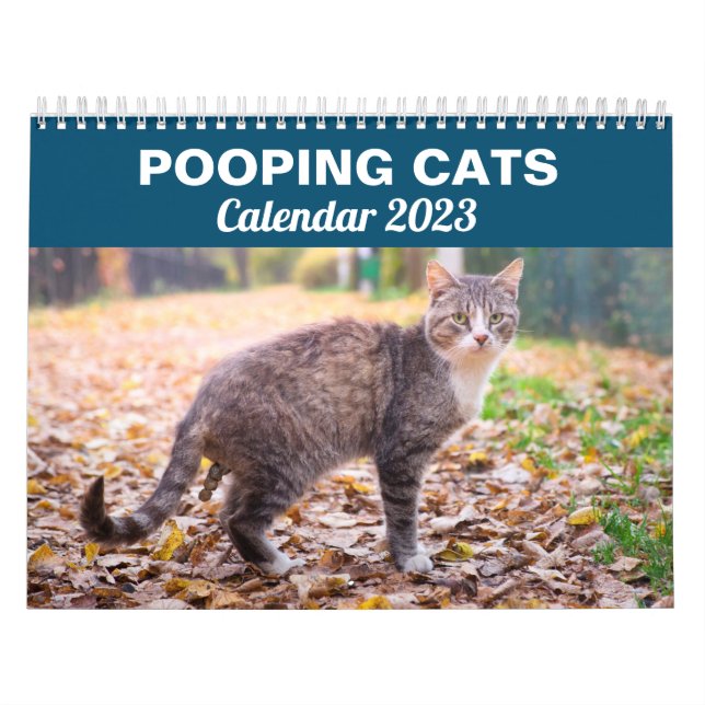 Personnalisé Funny Cats Pooping Calendrier 2026 (Protection)