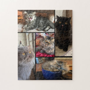 Personnalisé Votre Puzzle de 5 Photos Chat Persan