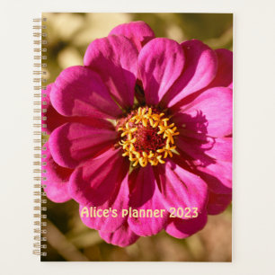Personnalisé Zinnia Elegans
