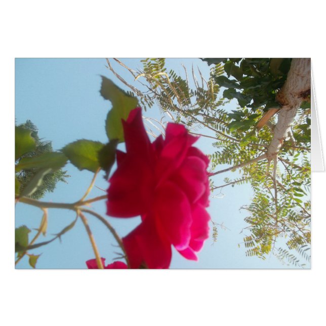 Personnaliser (Devant horizontal)