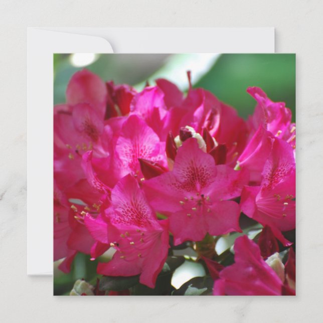 Personnaliser (Devant)