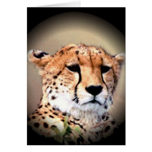 Personnaliser (Devant)