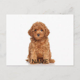 Personnaliser avec photo et nom carte postale
