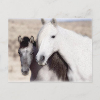 Personnaliser Horse Party Invitations et cartes