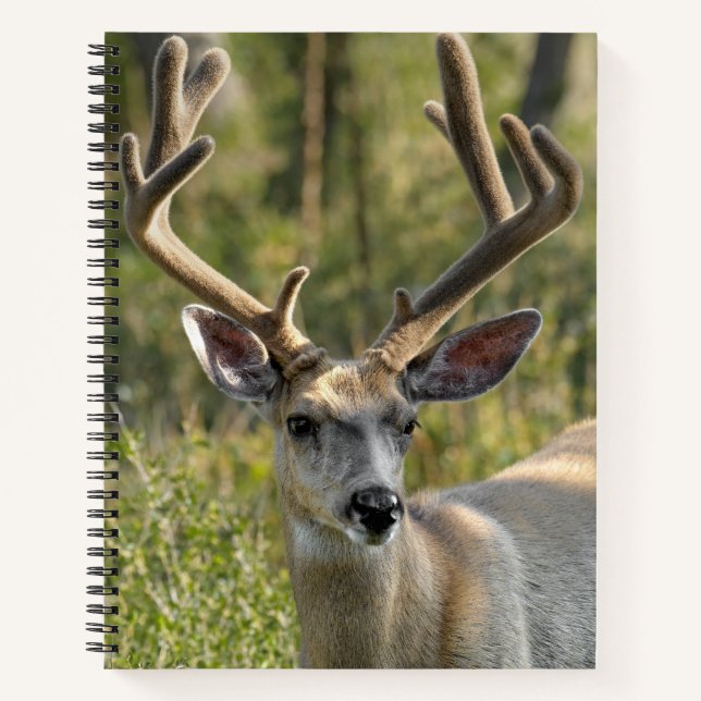 Personnaliser le nom Mule Deer Carnet spiral (Devant)