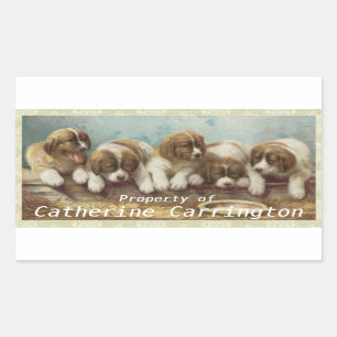 Personnalisez ces mignons Stickers vintages pour c