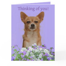 Personnalisez la grande carte "Thinking of you" po