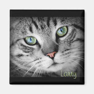 Personnalisez un aimant avec votre animal favori !