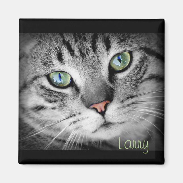 Personnalisez un aimant avec votre animal favori ! (Devant)