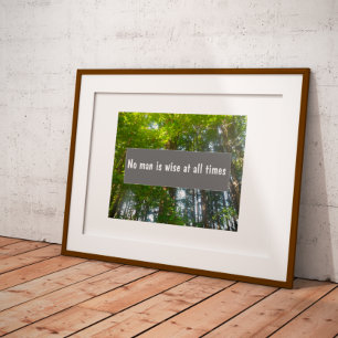 Personne n'est sage en tout temps proverbe poster