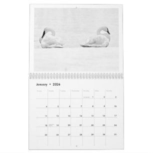 Perspectives de la nature - Calendrier mural 2026