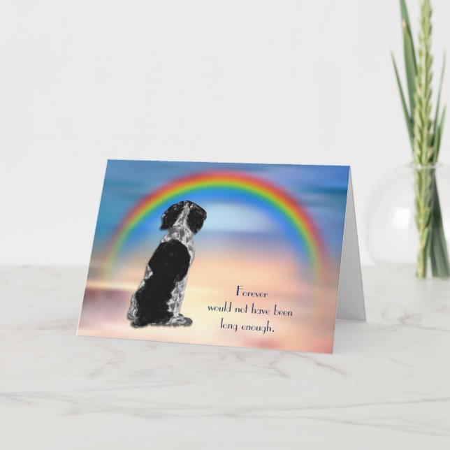 Perte de la carte de sympathie de Black Spaniel Ra (Devant)