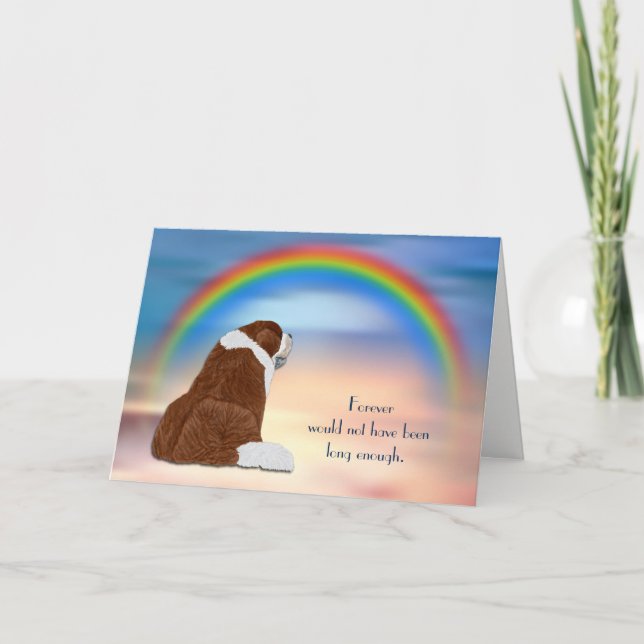 Perte de la carte de sympathie du chien de Saint-B (Devant)
