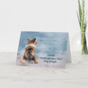 Perte de Shetland Sheepdog carte de condoléances