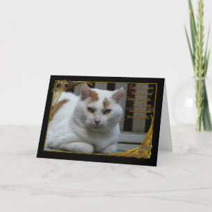 Perte de sympathie de la carte de chat