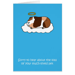 Perte du cochon de Guinée Animal, Sympathie.