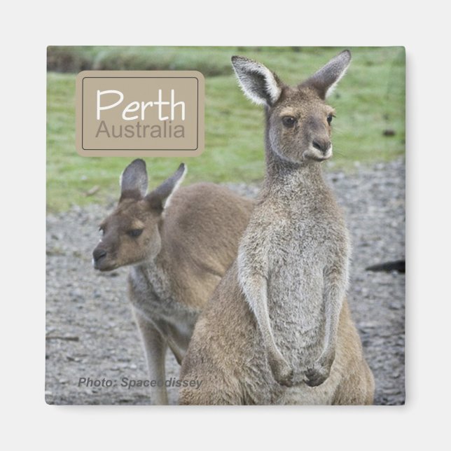 Perth Australie Kangaroo Aimants frigo voyage (Devant)