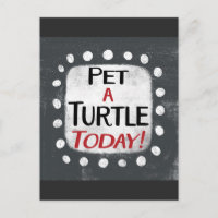 Pet A Turtle Today Carte Postale