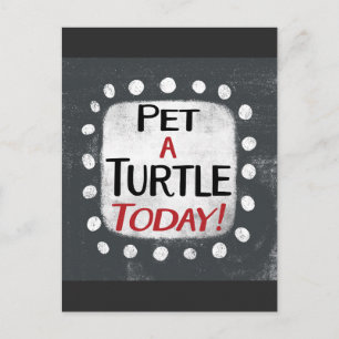 Pet A Turtle Today Carte Postale
