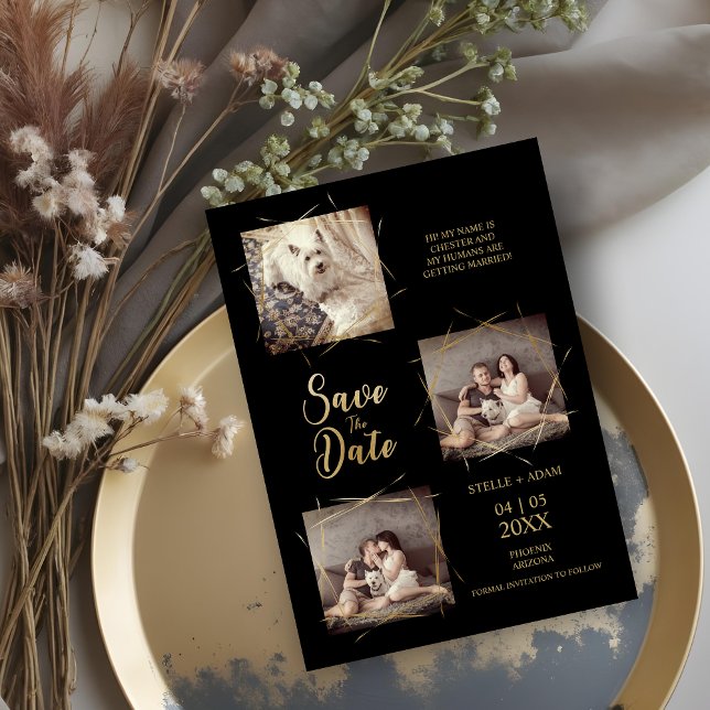 Pet Black Stylish Moderne Calligraphie 3-Photo (Pet Black Stylish Modern Calligraphy 3-Photo Save the Date Cards.)