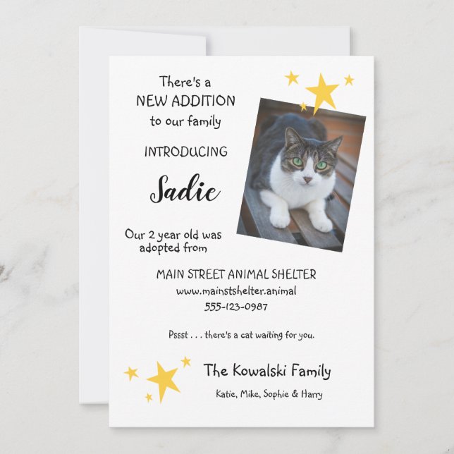 Pet Cat Adoption New Pet Faire-part Flat Card (Devant)