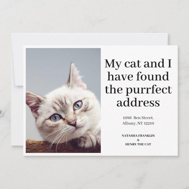 Pet Cat Photo Nouvelle adresse Nous avons déplacé  (Devant)
