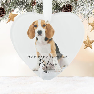 Pet Chien First Christmas Photos Script