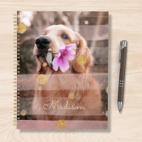 Pet Chien Photo Pink Ruban Chic Gold Parties scint