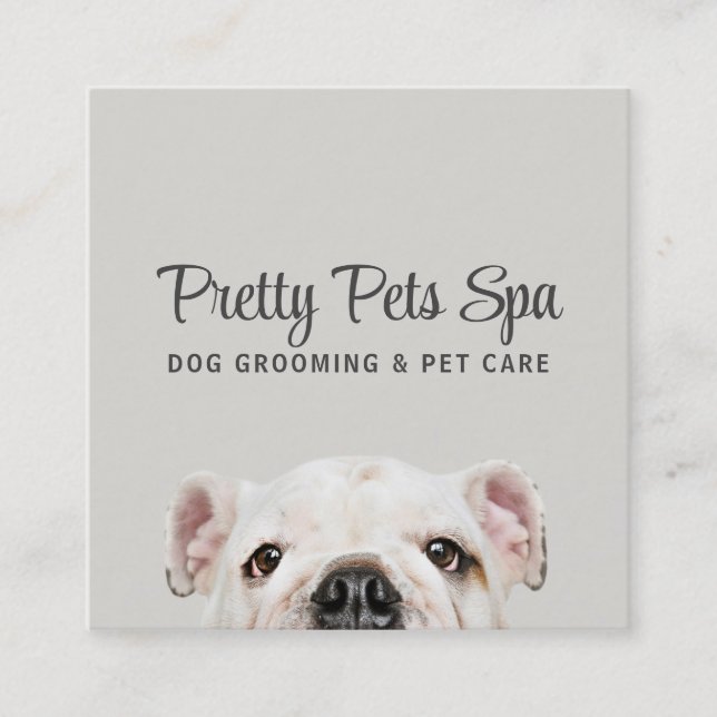 Pet Grooming Sitter Chien Spa Carré Carte de visit (Devant)