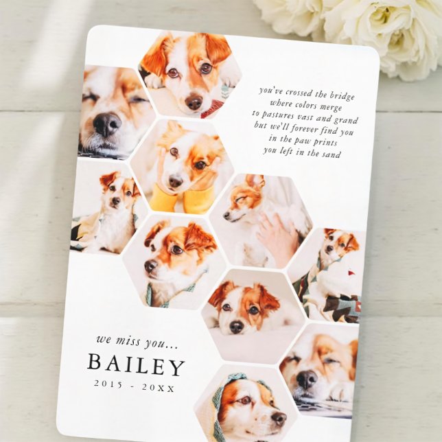 Pet Memorial Modern Simple 10 Photo Collage Card (Créateur téléchargé)
