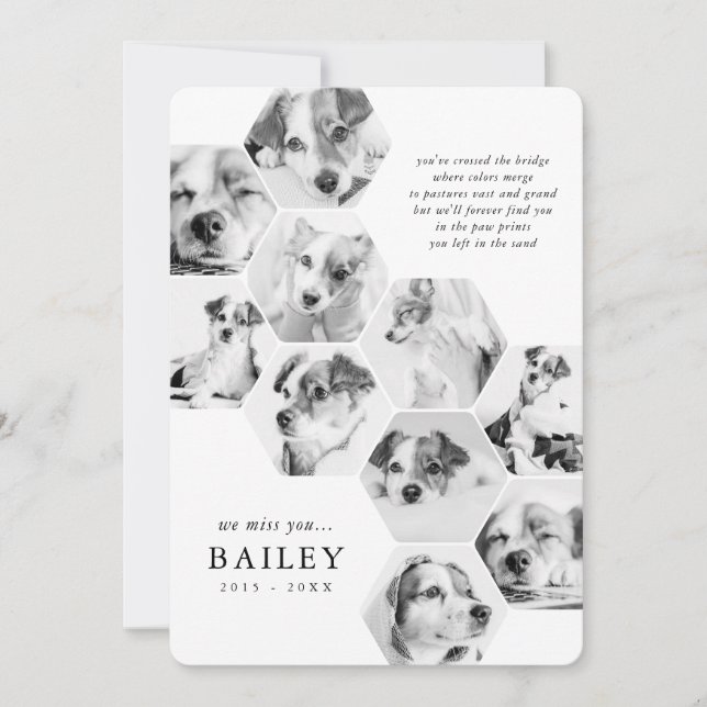 Pet Memorial Modern Simple 10 Photo Collage Card (Devant)