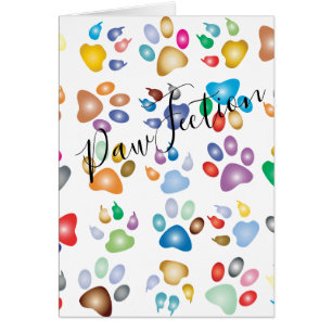 Pet Paw Chien Chien Chien Kitten Destin De Chat De